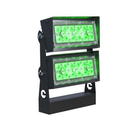 Светодиодный светильник LC 100-WALL К12 GREEN